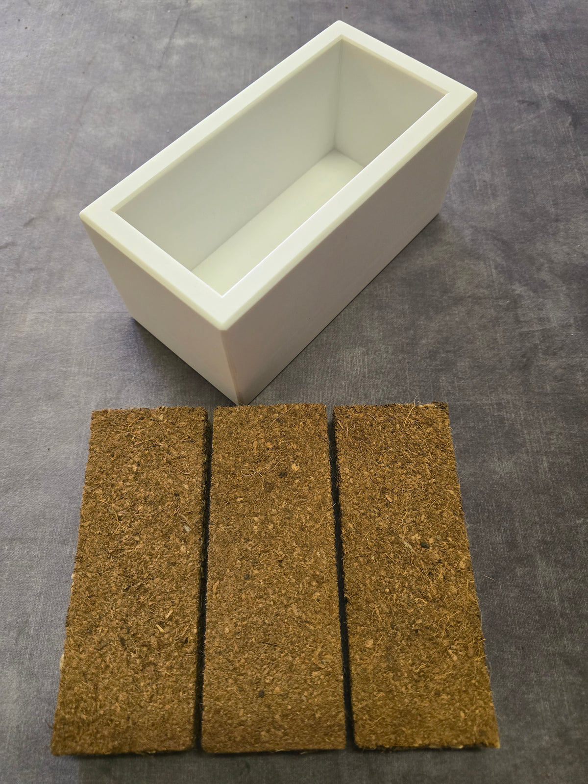 LAVEANO Katzengras Vorrats-Set mit weißer Schale und 3 Bio-Gras-Tiles
